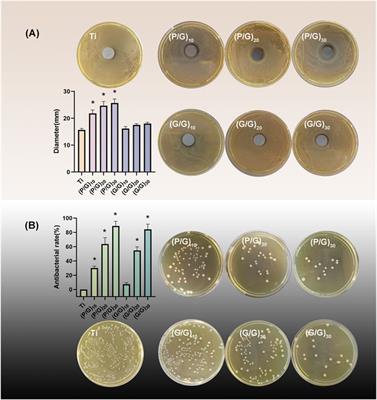 Graphene oxide/ε-poly-L-lysine self-assembled functionalized coatings improve the biocompatibility and antibacterial properties of titanium implants